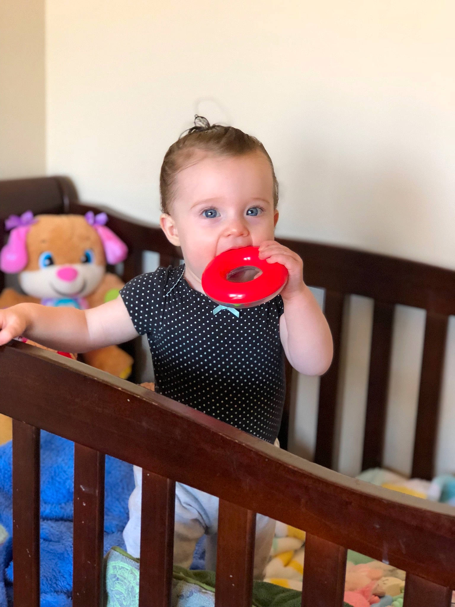 Saber joined the competition — help win amazing prizes! baby, baby_products, baby_safety, baby_toddler_clothing, baby_toys, bed, cheek, child, eye, furniture, infant_bed, iris, person, play, product, room, sitting, skin, standing, toddler