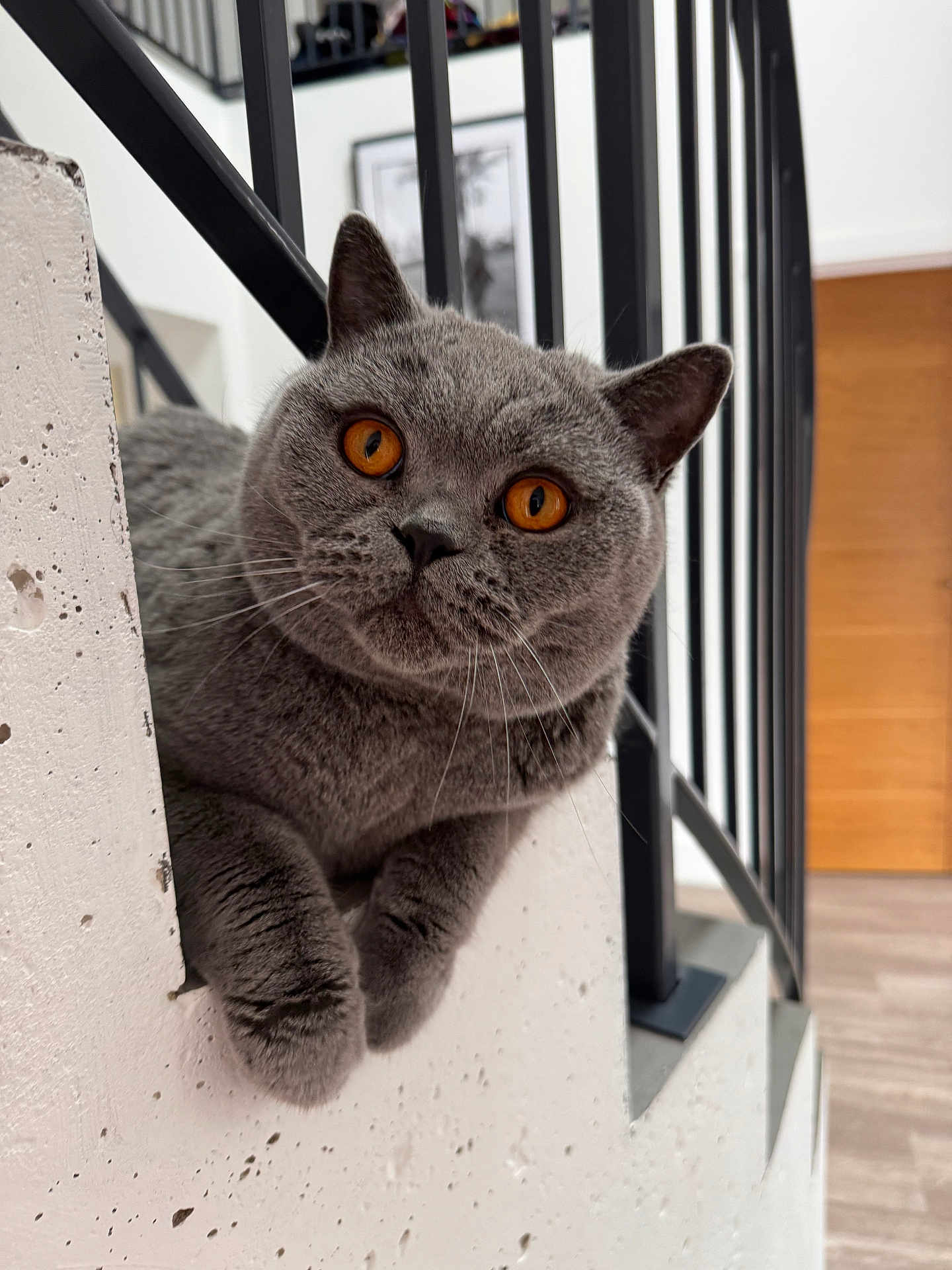 Edgar