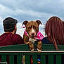 dog, bench, person, outdoor, cloudy_sky, pink_bandana, brown_dog, green_bench, people_back, casual_clothing, nature, fall_season, leisure, pet, animal, companionship, scenic_view, hairstyle, cap, portrait