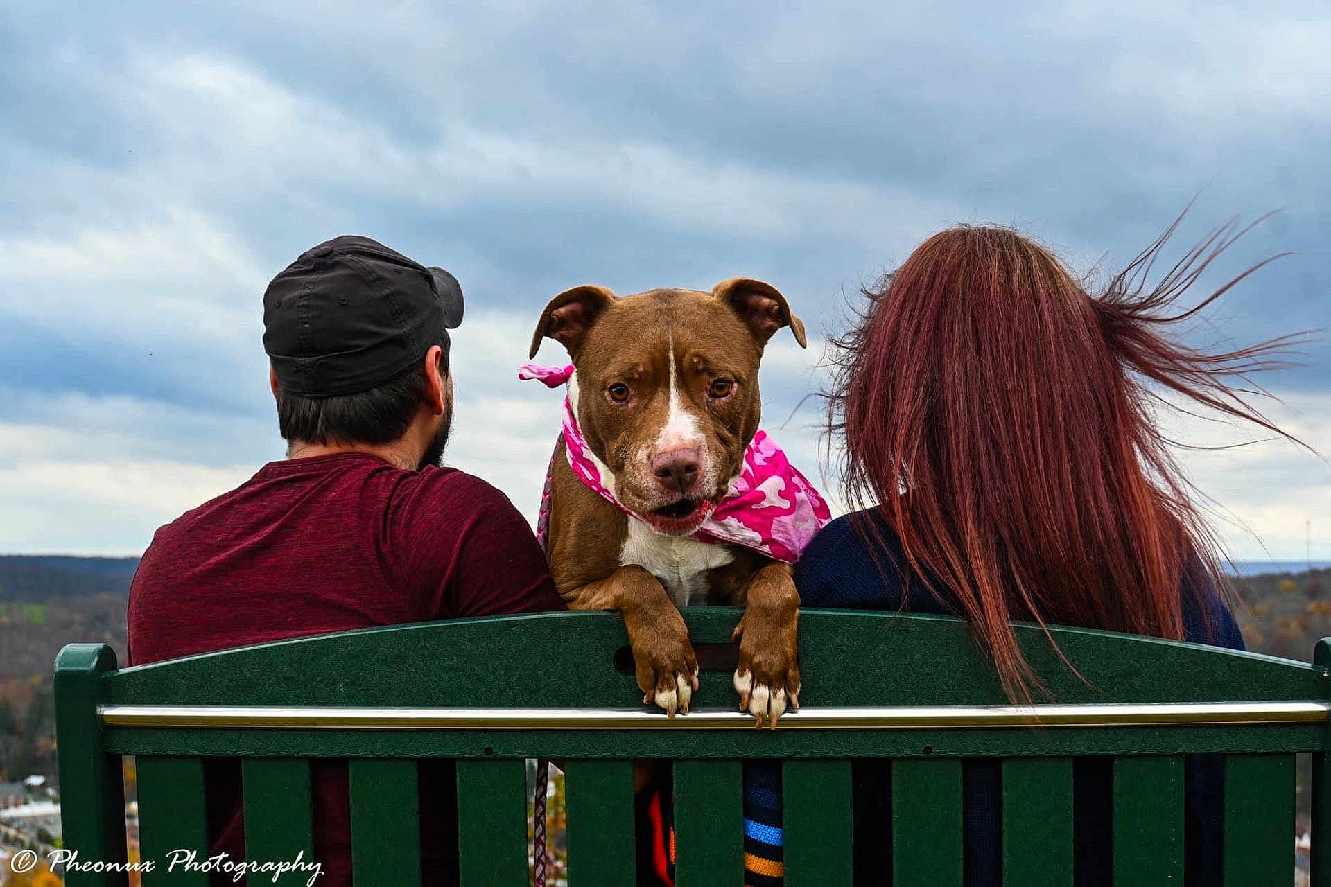 Shiro is registered to the contest to win money with this photo: dog, bench, person, outdoor, cloudy_sky, pink_bandana, brown_dog, green_bench, people_back, casual_clothing, nature, fall_season, leisure, pet, animal, companionship, scenic_view, hairstyle, cap, portrait