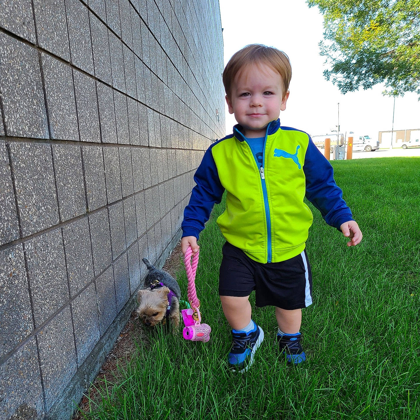 Broden joined the competition — help win amazing prizes! baby_toddler_clothing, fun, grass, happy, joy, leaf, leisure, mammal, nature, people_in_nature, person, plant, public_space, shoe, shorts, smile, sneakers, sports_equipment, t_shirt, toddler