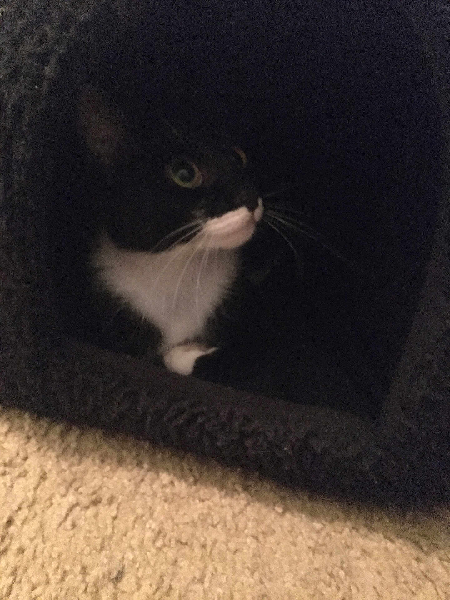 Charlie