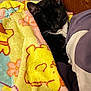 cat, black_and_white, blanket, sleeping, cozy, indoor, wooden_background, soft_lighting, feline, pet, cute, resting, animal, tucked_in, colorful, patterned_blanket, relaxed, domestic_cat, fur, whiskers