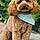 Bertie