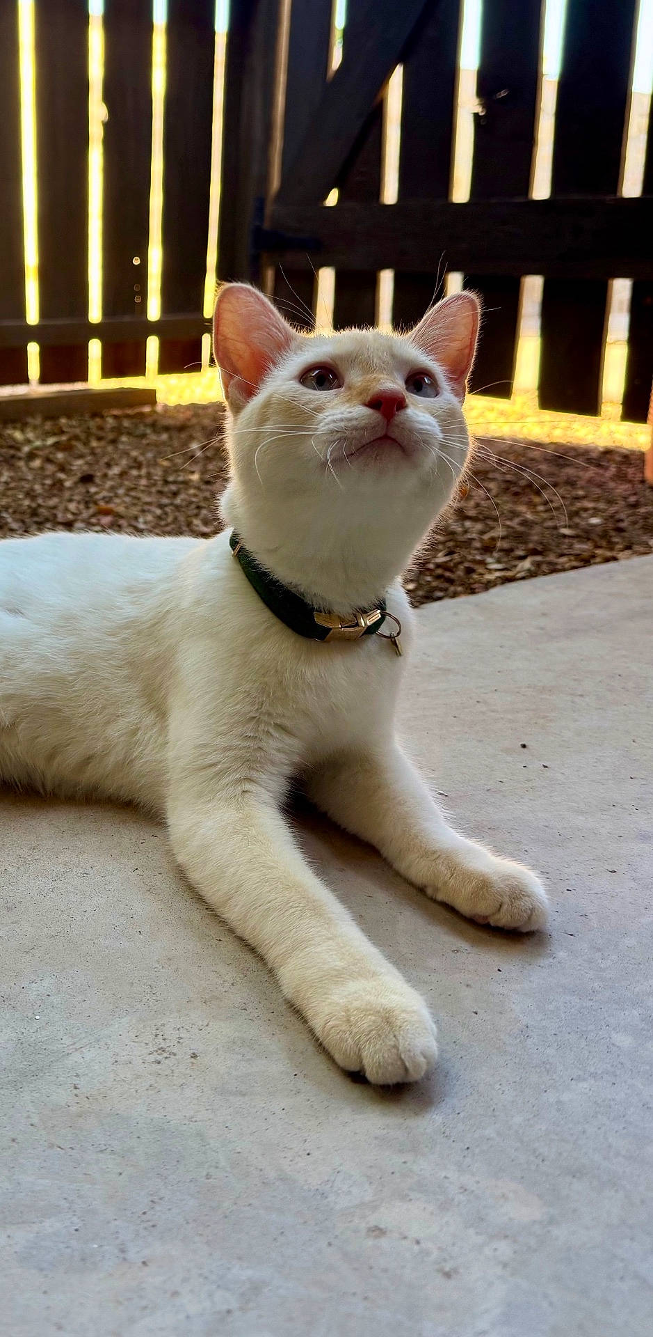 Nimbus