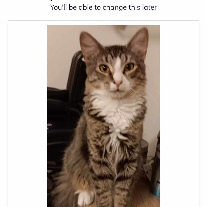 Pepper