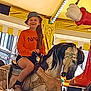 child, girl, carousel, horse, amusement_ride, smile, cap, orange_sweatshirt, long_hair, indoor, carnival, decorative, toy, fun, happy, entertainment, playful, youth, riding, leisure