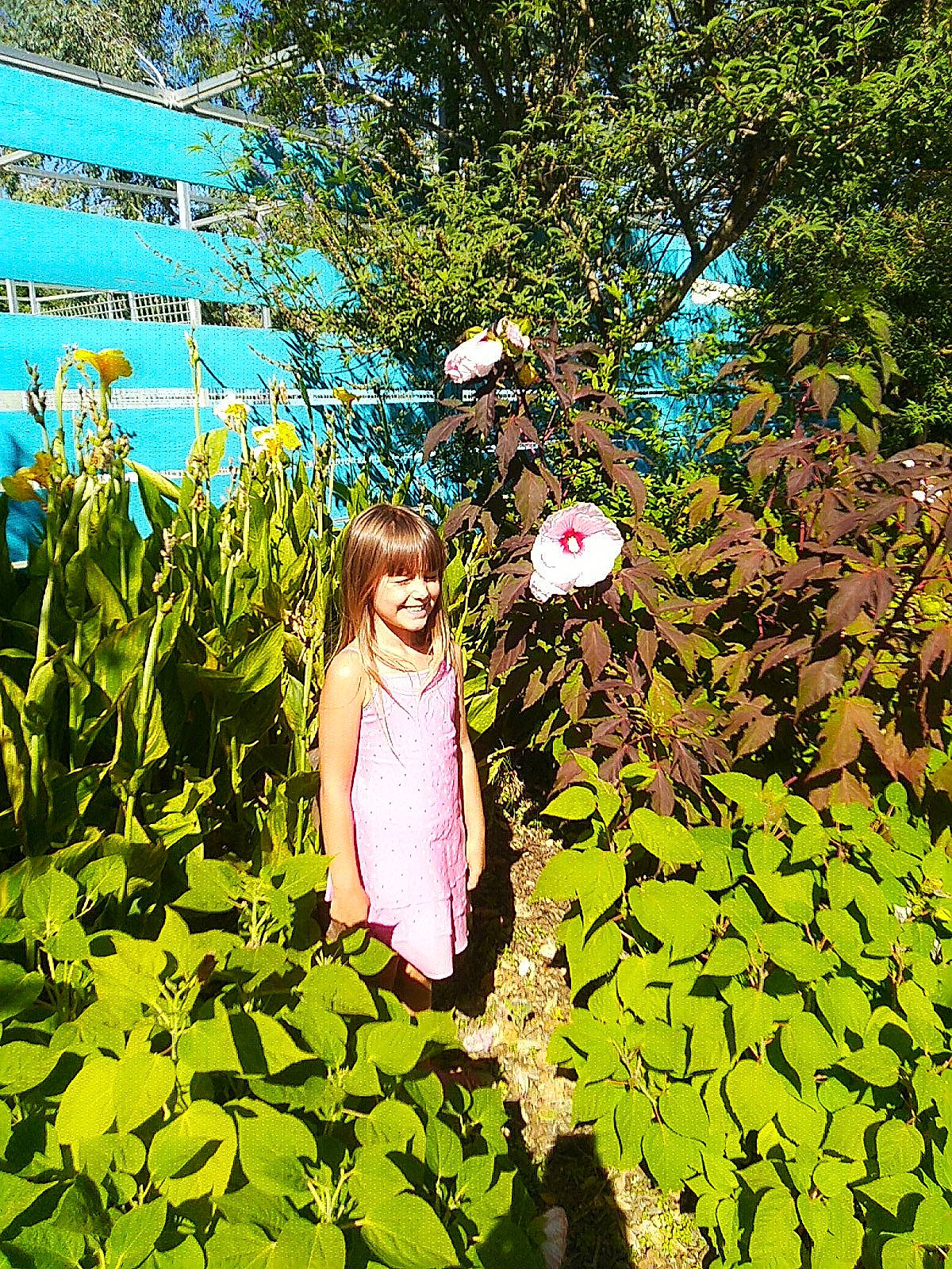 Ambre a rejoint le concours — aidez-le/la à gagner de superbes lots ! adaptation, art, botanical_garden, botany, flower, garden, green, groundcover, herbaceous_plant, joy, leaf, morning_glory, perennial_plant, person, plant, plant_community, shrub, spring, tree, wildflower