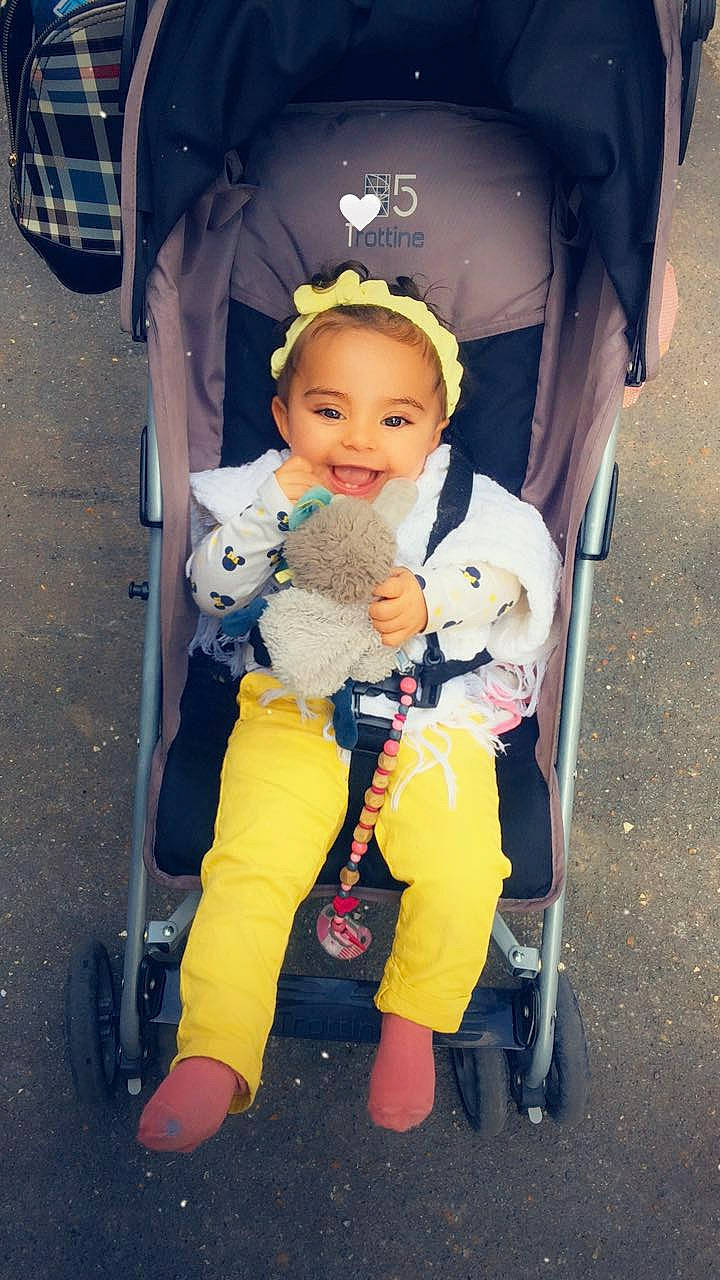 Milla a rejoint le concours — aidez-le/la à gagner de superbes lots ! baby_carriage, carnivore, chair, companion_dog, dog_breed, eye, fawn, fun, happy, head, joy, lap, people, person, product, shoe, skin, snapshot, sneakers, stuffed_toy