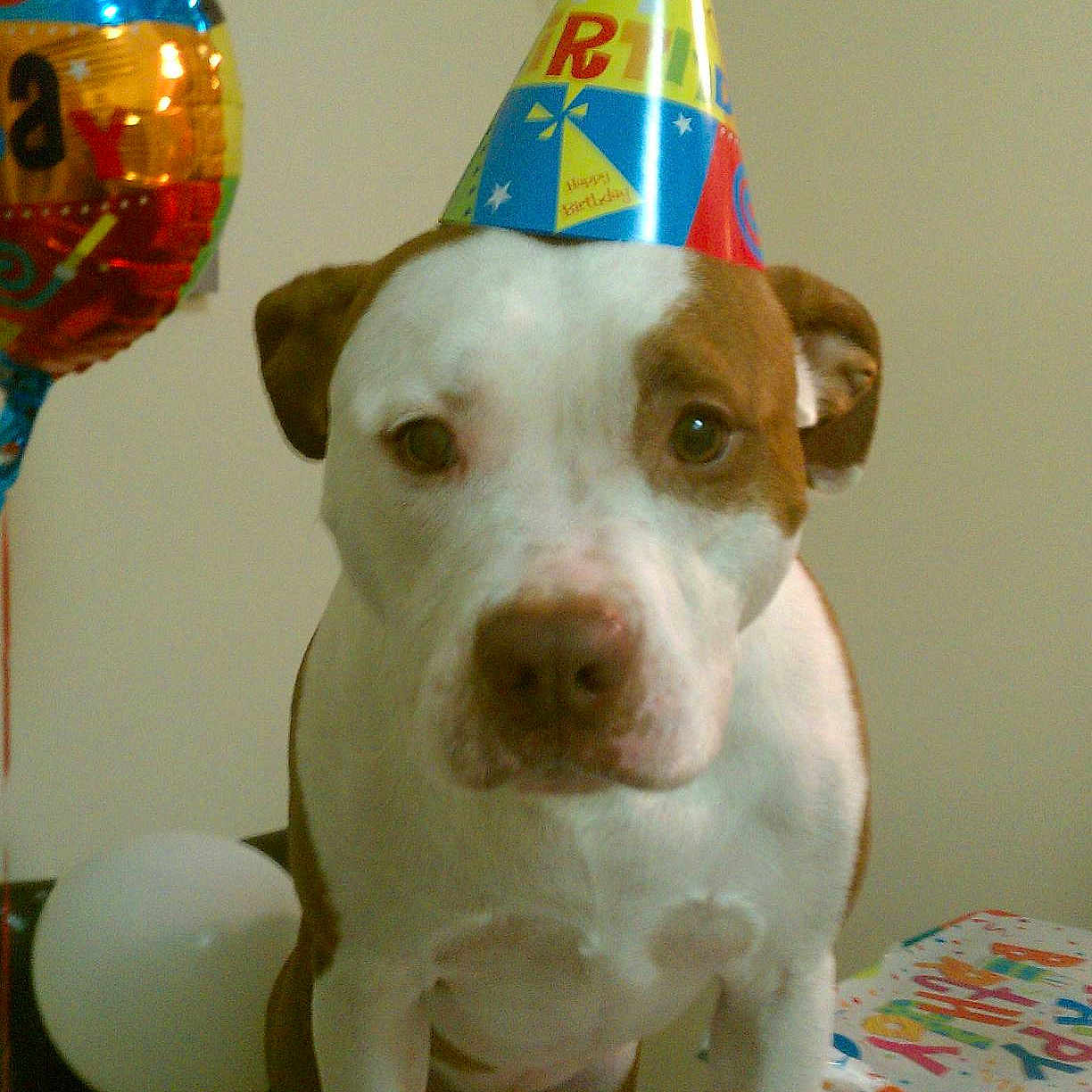 Diesel is registered to the contest to win money with this photo: