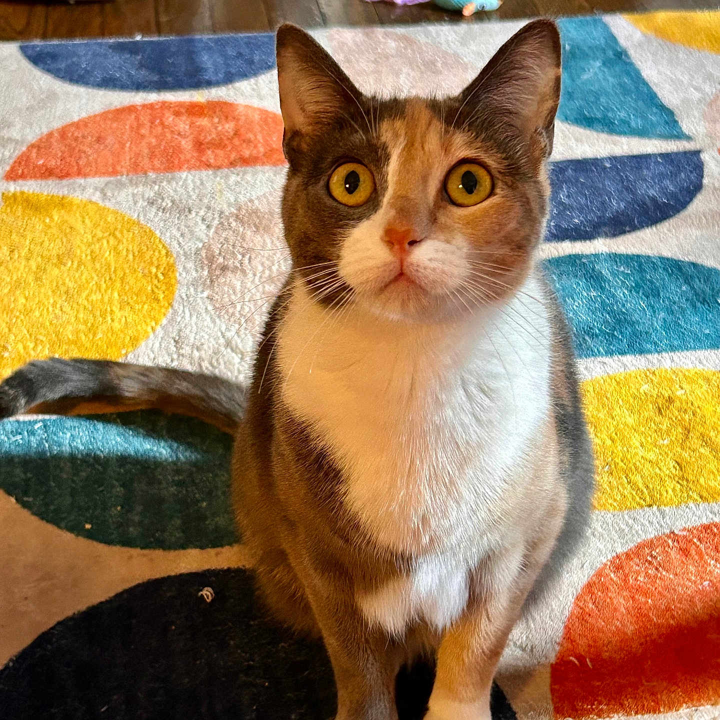 Kiko