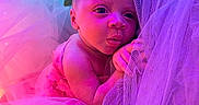 Kalyapea is registered to the contest to win money with this photo: baby, infant, tulle, fabric, pink, purple, lights, fairy_lights, leaves, curious, portrait, face, newborn, soft_texture, glowing, cute, child, closeup, wrapped, resting