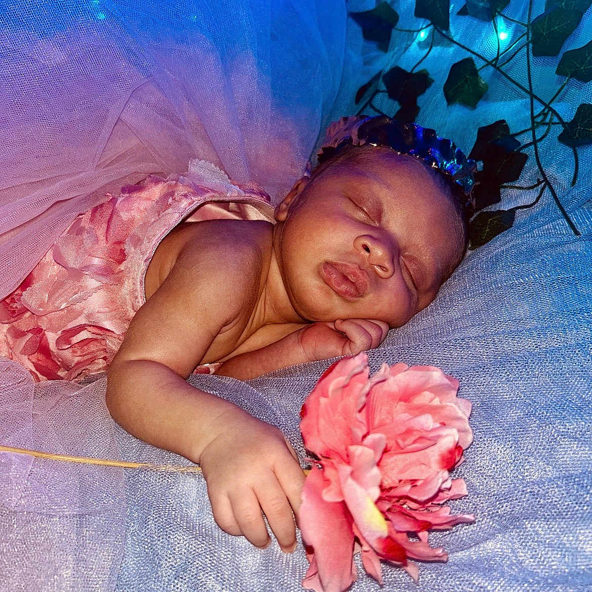 Kalyapea is registered to the contest to win money with this photo: baby, sleeping, pink_dress, flower, crown, fairy_lights, blue_lighting, soft_fabric, peaceful, newborn, portrait, hand, face, infant, resting, cute, decorative_leaves, closeup, indoors, serene