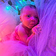 Kalyapea is registered to the contest to win money with this photo: baby, closeup, curious, cute, expression, fabric, face, glowing_lights, hands, infant, leaves, lighting, newborn, pink, portrait, purple, skin, soft_texture, tulle, wrapped