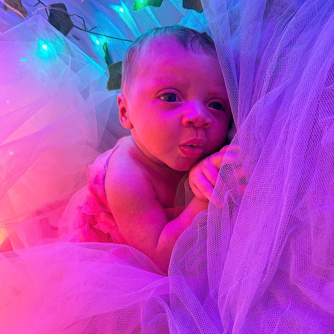 Kalyapea is registered to the contest to win money with this photo: baby, closeup, curious, cute, expression, fabric, face, glowing_lights, hands, infant, leaves, lighting, newborn, pink, portrait, purple, skin, soft_texture, tulle, wrapped