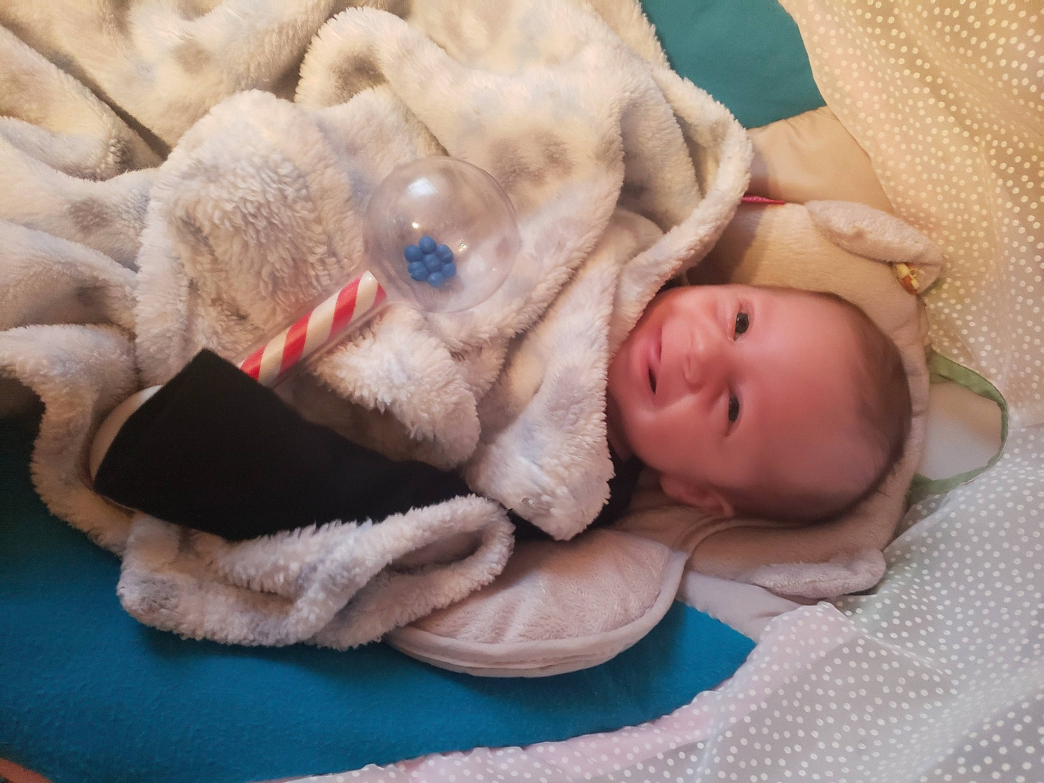 Henlee joined the competition — help win amazing prizes! baby, baby_sleeping, bedtime, birth, canidae, carnivore, child, dog, ear, fawn, joy, nap, person, puppy, puppy_love, skin, sleep, sporting_group, weimaraner, wrinkle