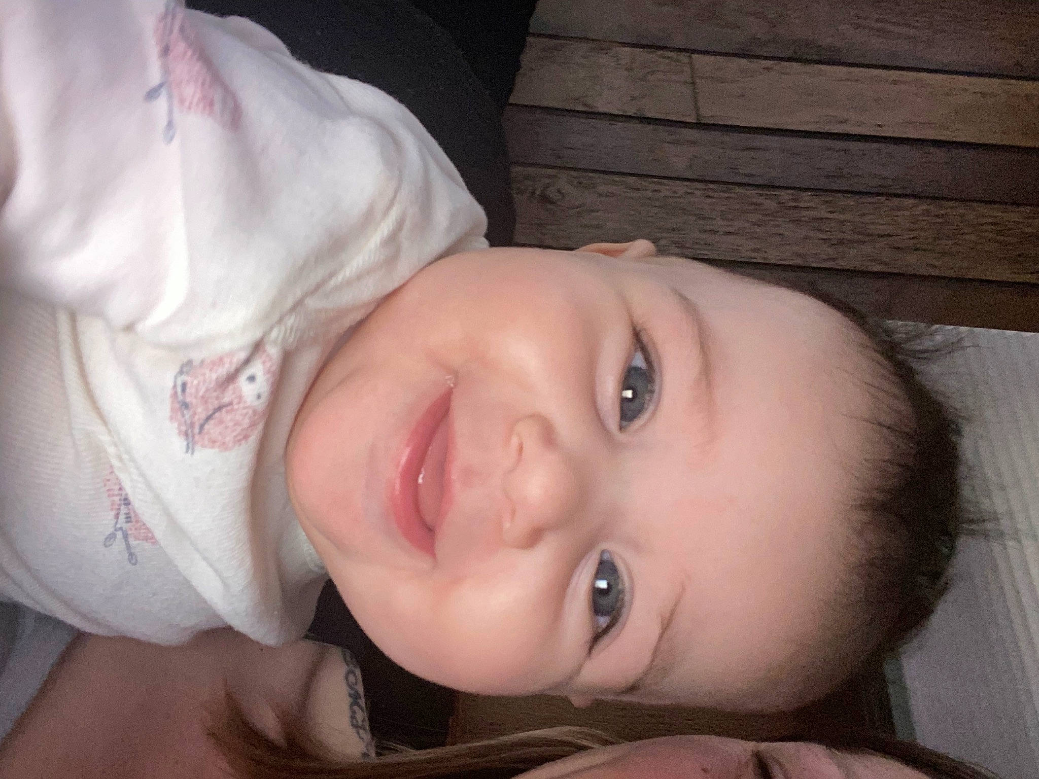 Harlow joined the competition — help win amazing prizes! cheek, ear, eye, eyebrow, eyelash, face, flash_photography, forehead, happy, iris, jaw, joy, lip, mouth, neck, nose, person, plant, skin, smile