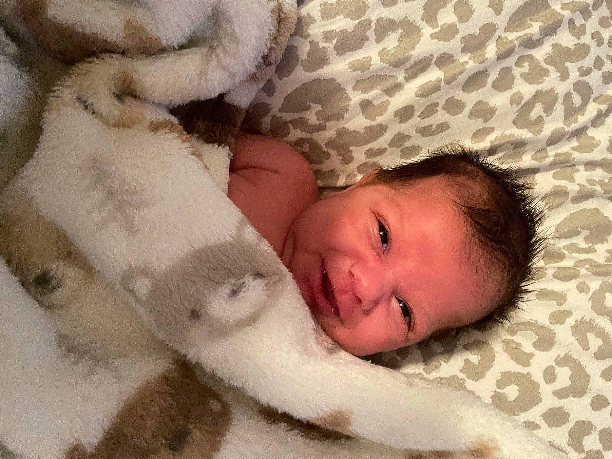 Kylan joined the competition — help win amazing prizes! baby, bedtime, child, comfort, eye, fur, fur_clothing, hand, happy, head, headgear, linens, nap, nose, person, room, skin, smile, stuffed_toy, toddler