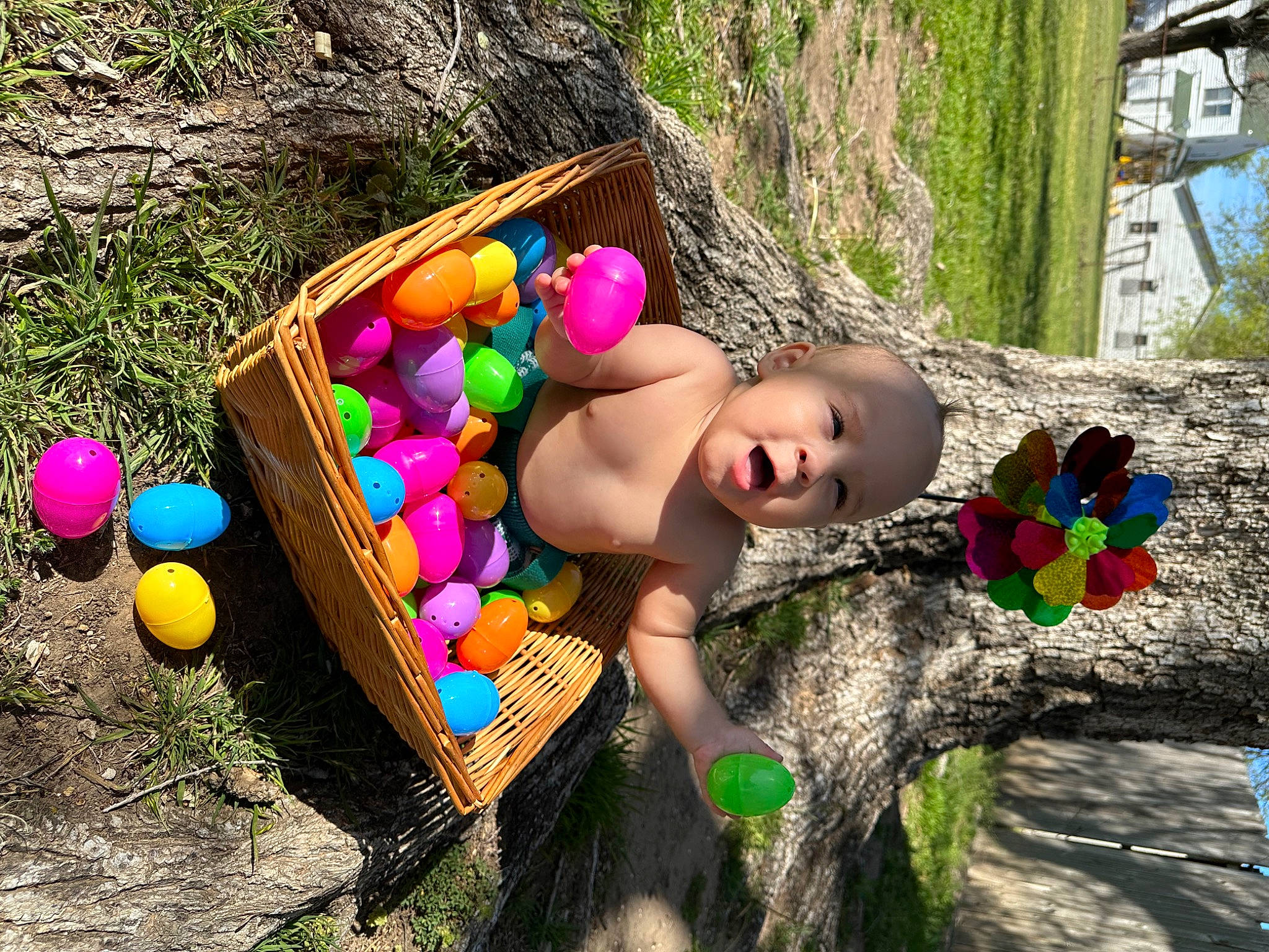Cassius is registered to the contest to win money with this photo: adaptation, chair, child, fun, grass, happy, headwear, leisure, people_in_nature, person, plant, play, recreation, rock, sitting, soil, toddler, toy, tree, trunk