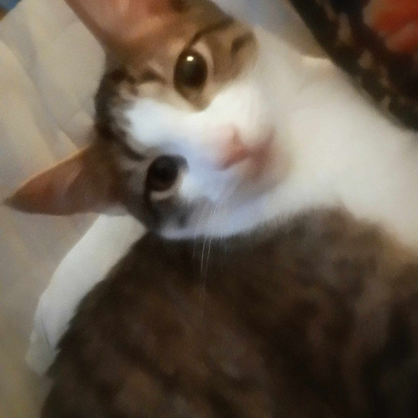 Toby