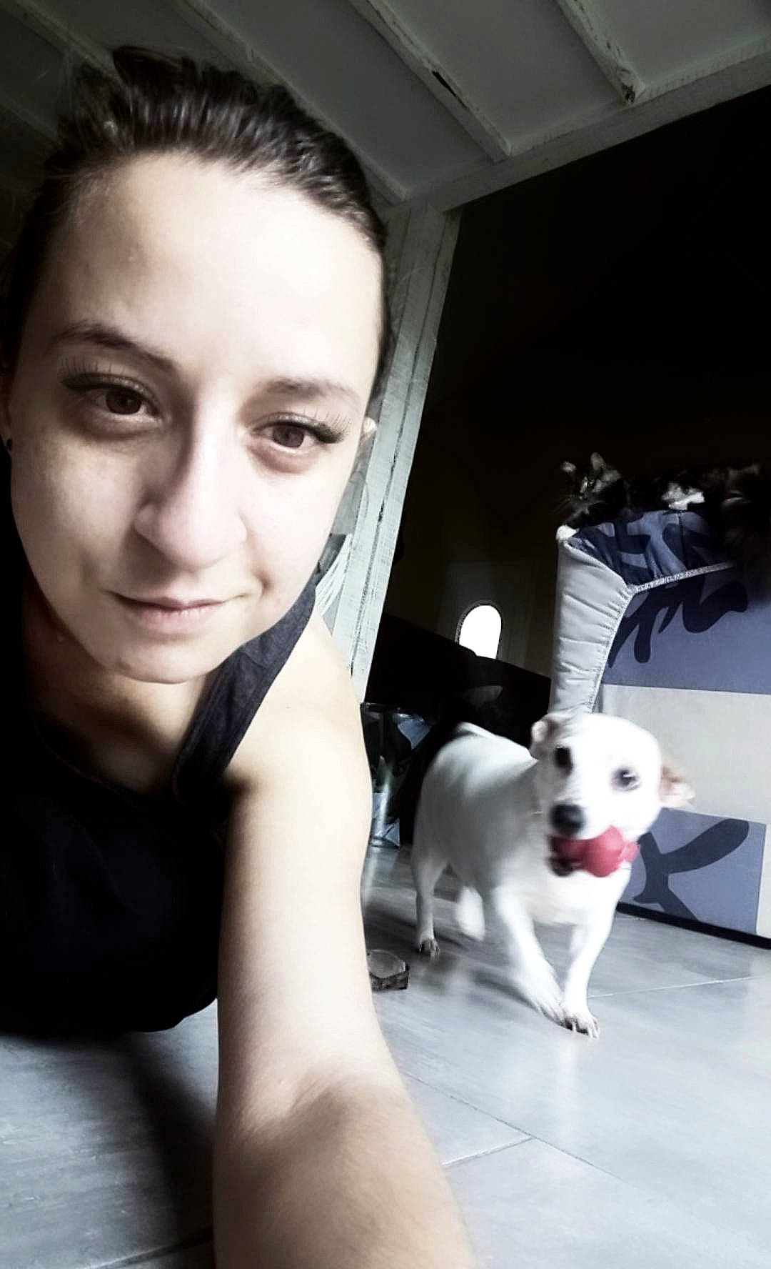 Eve participe au concours pour gagner de l'argent avec cette photo : canidae, carnivore, companion_dog, dog, dog_breed, ear, eye, eyebrow, face, head, non_sporting_group, nose, puppy, puppy_love, selfie, skin, snout