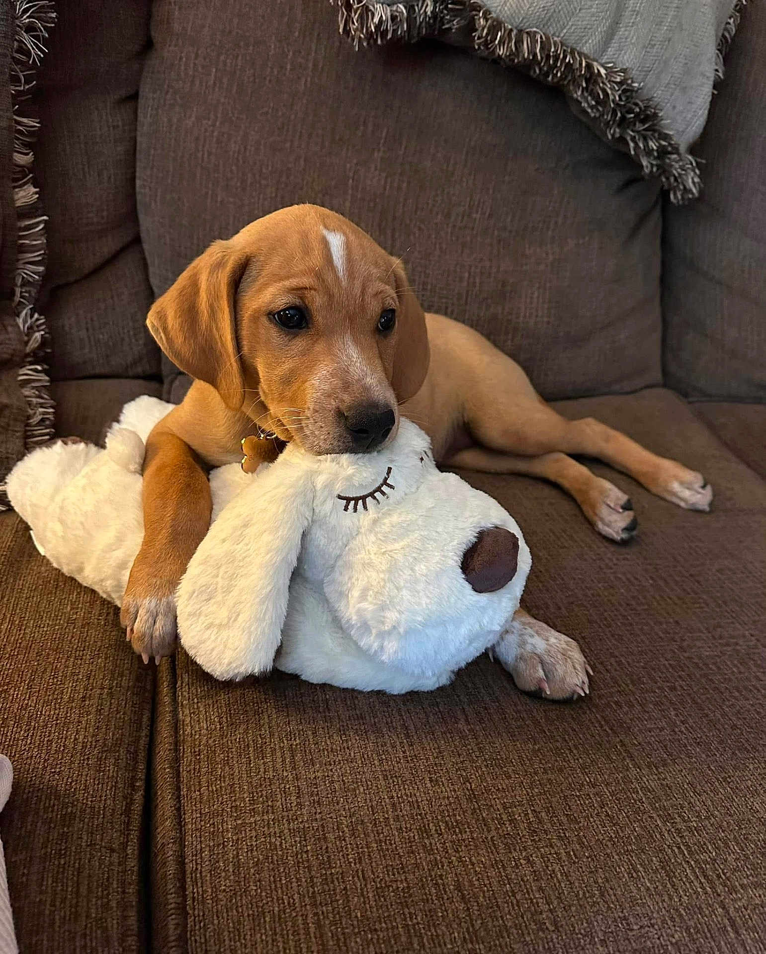 Charlee