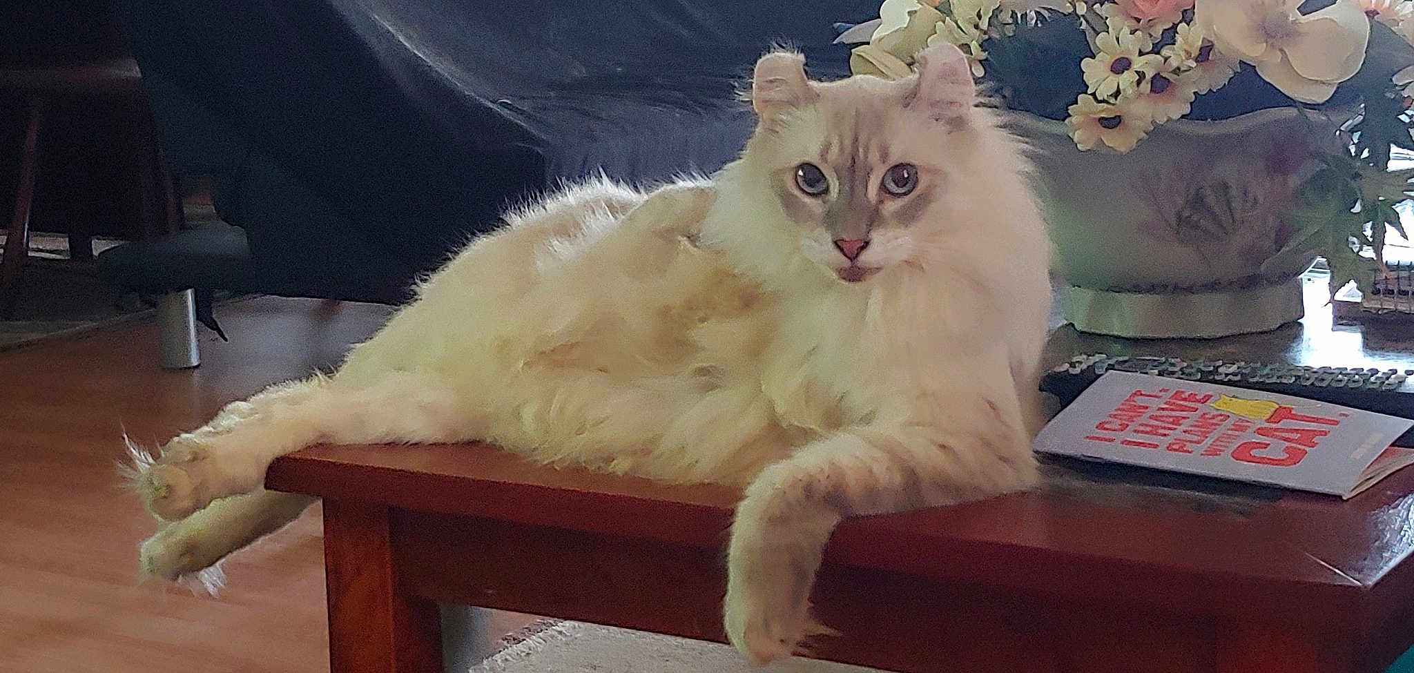 Rosie