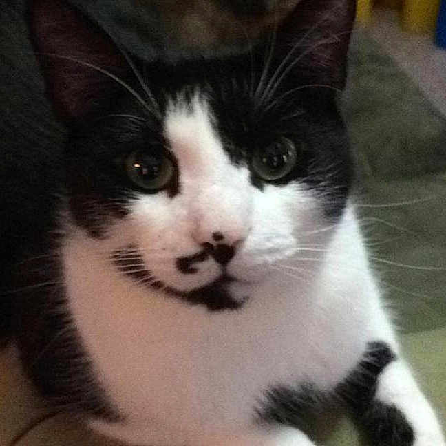 Scotty joined the competition — help win amazing prizes!