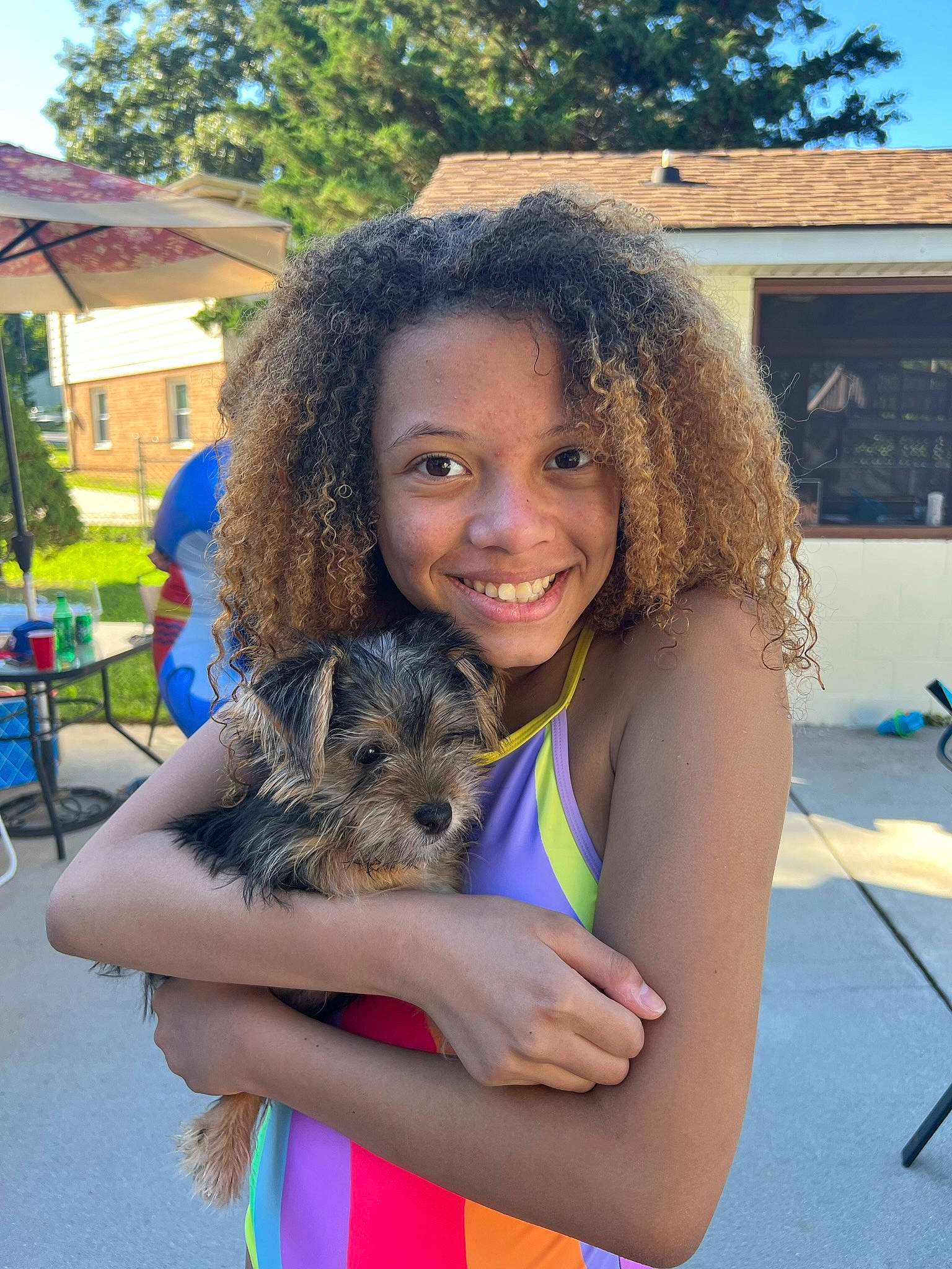 Allyssa is registered to the contest to win money with this photo: blue, canidae, carnivore, chair, companion_dog, dog, dog_breed, electric_blue, event, fawn, fun, fur, happy, joy, leisure, person, small_terrier, smile, sporting_group, terrier