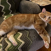 Simon is registered to the contest to win money with this photo: cat, orange_tabby, pet, feline, indoor, armchair, blanket, crocheted, zigzag_pattern, relaxed, paws, fur, wooden_floor, table, stone_pattern, looking, resting, comfort, home, cozy
