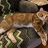 cat, orange_tabby, pet, feline, indoor, armchair, blanket, crocheted, zigzag_pattern, relaxed, paws, fur, wooden_floor, table, stone_pattern, looking, resting, comfort, home, cozy