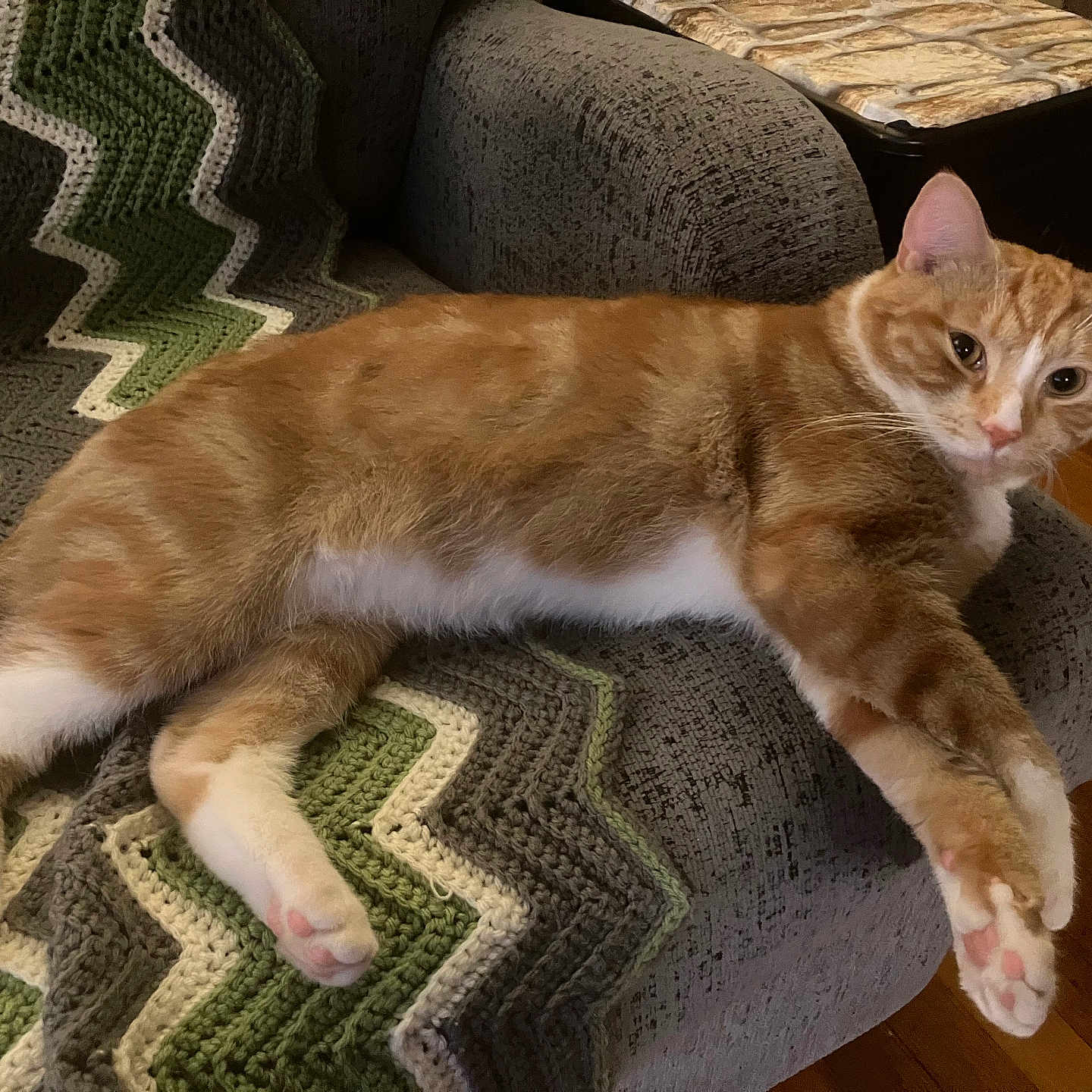 Simon is registered to the contest to win money with this photo: cat, orange_tabby, pet, feline, indoor, armchair, blanket, crocheted, zigzag_pattern, relaxed, paws, fur, wooden_floor, table, stone_pattern, looking, resting, comfort, home, cozy