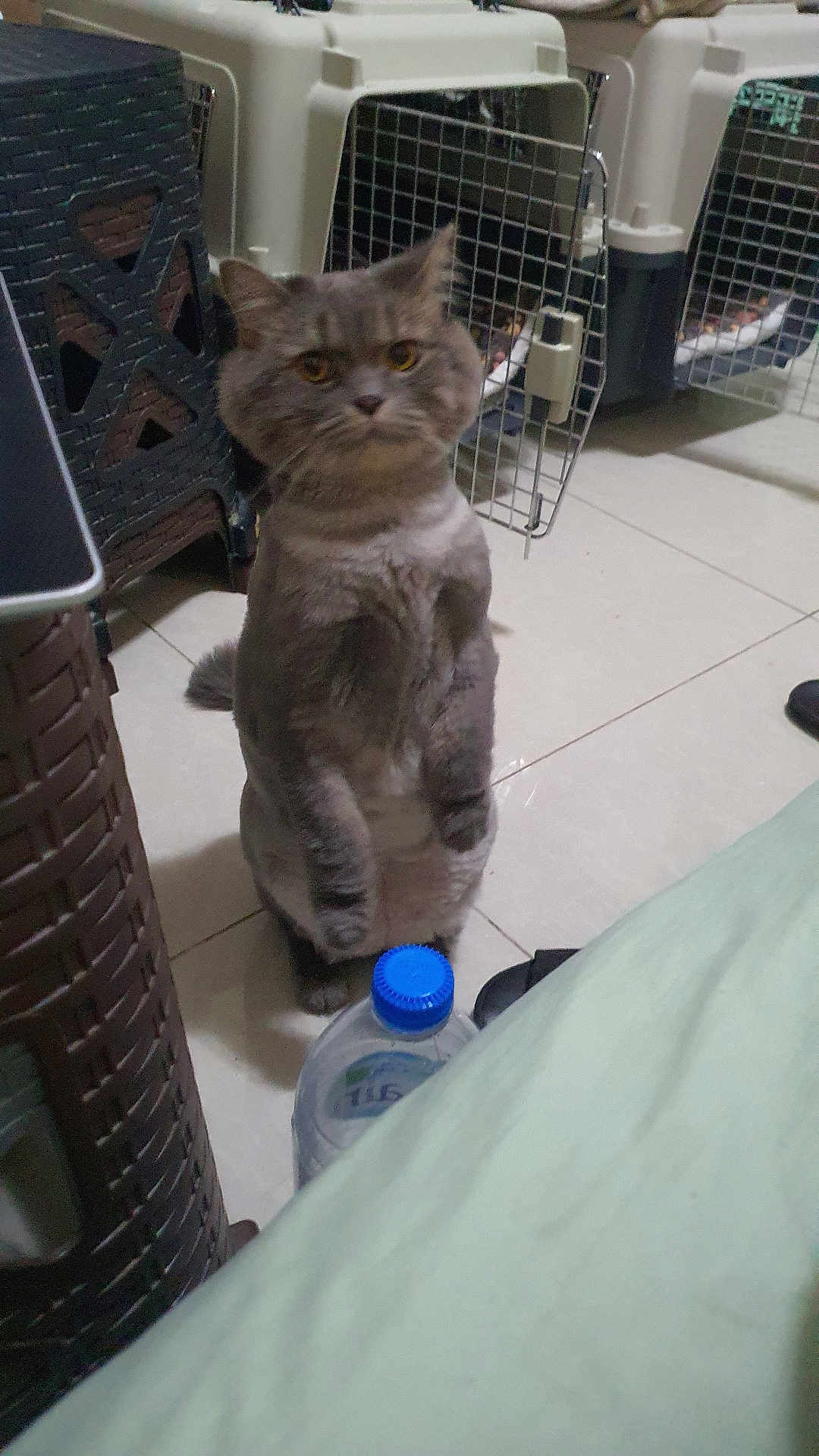 Emsi