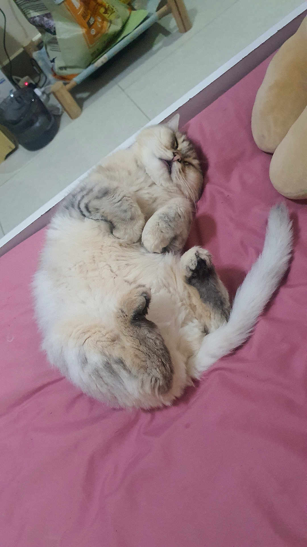 Luna