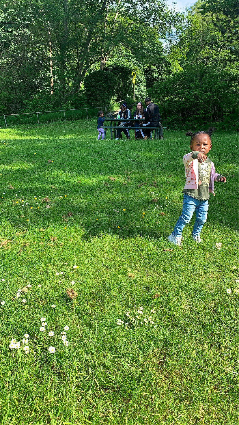 Taylor joined the competition — help win amazing prizes! biome, botany, flower, fun, grass, grass_family, grassland, green, groundcover, landscape, lawn, leisure, meadow, natural_landscape, people_in_nature, person, plant, recreation, shrub, toddler