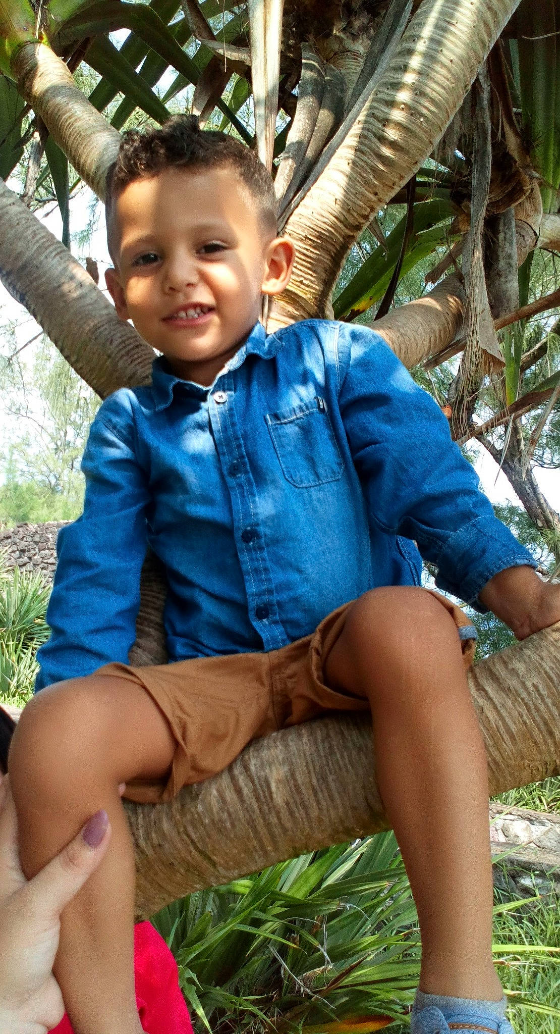 Kévan a rejoint le concours — aidez-le/la à gagner de superbes lots ! child, child_model, leg, person, plant, shorts, sitting, smile, thigh, tree