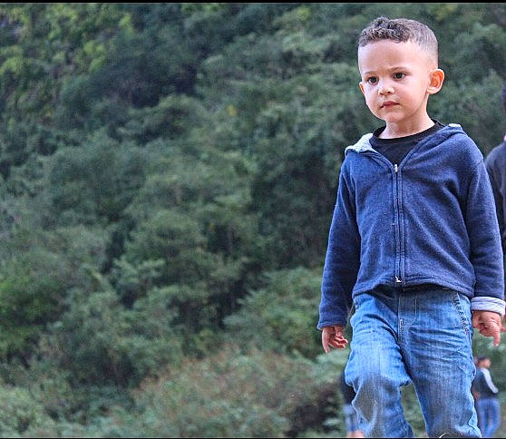 Kévan participe au concours pour gagner de l'argent avec cette photo : child, child_model, denim, grass, jeans, male, outerwear, person, photography, sleeve, smile, standing, t_shirt, toddler, tree