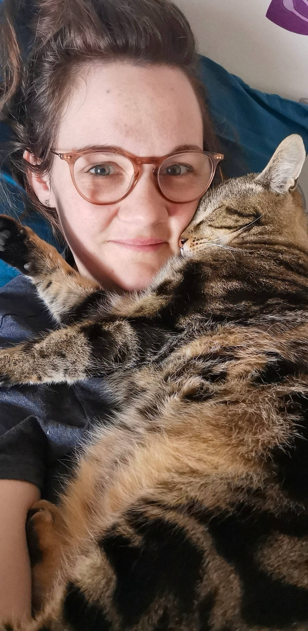 Itchy participe au concours pour gagner de l'argent avec cette photo : american_shorthair, asian, carnivore, cat, domestic_short_haired_cat, dragon_li, ear, european_shorthair, felidae, fur, glasses, pixie_bob, skin, small_to_medium_sized_cats, snout, tabby_cat, whiskers