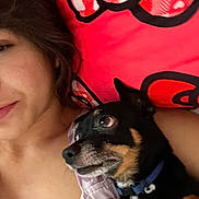 Blackie is registered to the contest to win money with this photo: person, dog, close_up, snuggling, bed, blanket, red, black_dog, tan_markings, collar, cute, indoor, companion, pet, face, comfort, resting, cuddle, warmth, portrait