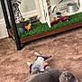 animal, carpet, cat, decor, dog_figurine, farm_scene, fish_toy, floor, grass_patch, gray_cat, household, indoor, miniature, miniature_furniture, pet, playful, relaxed, table, toy, windmill