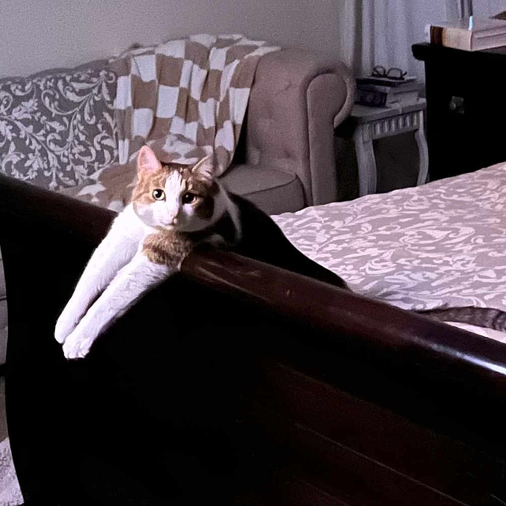 Mimi