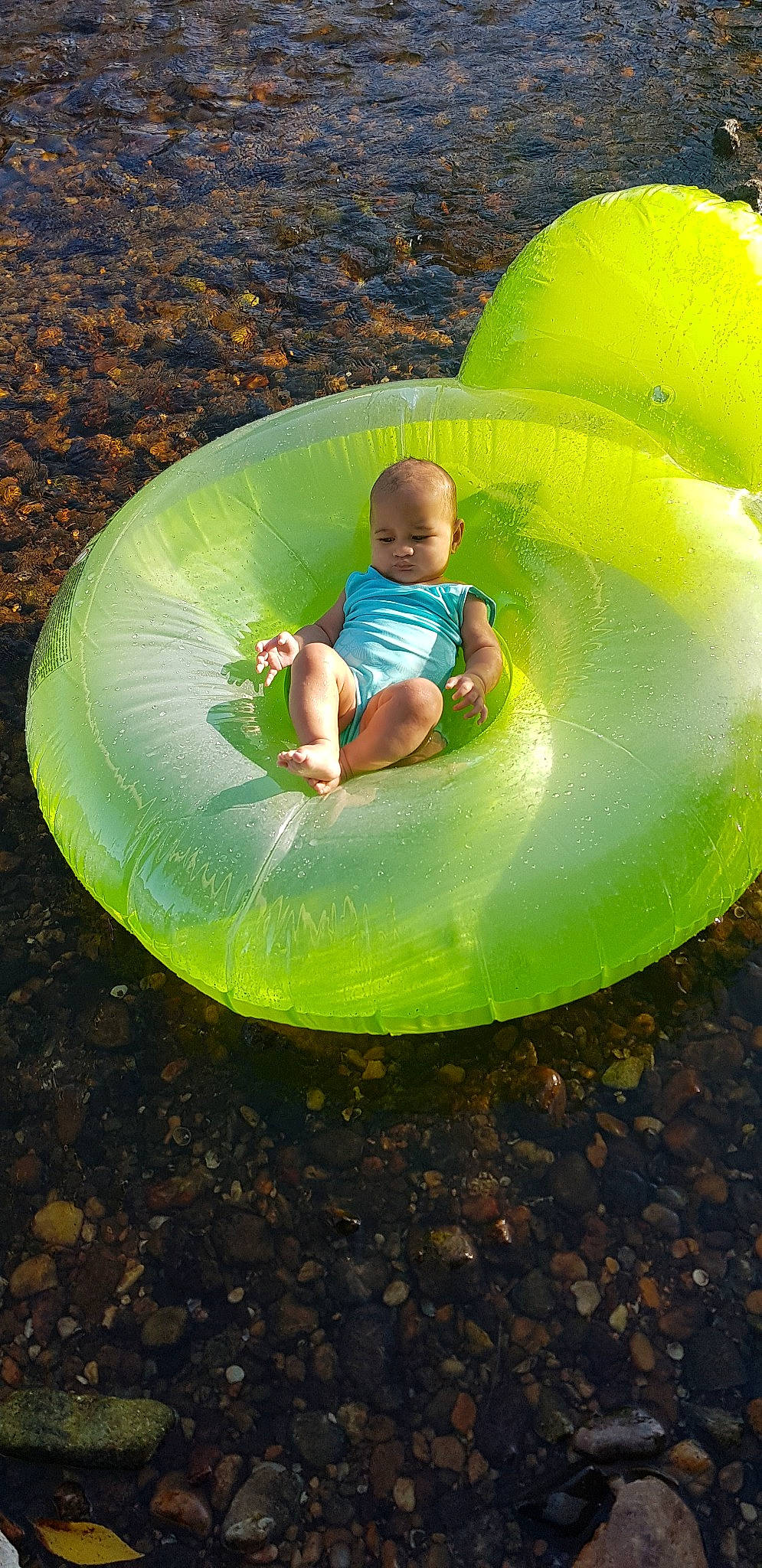 Jenny participe au concours pour gagner de l'argent avec cette photo : child, fun, green, leisure, person, play, recreation, toddler