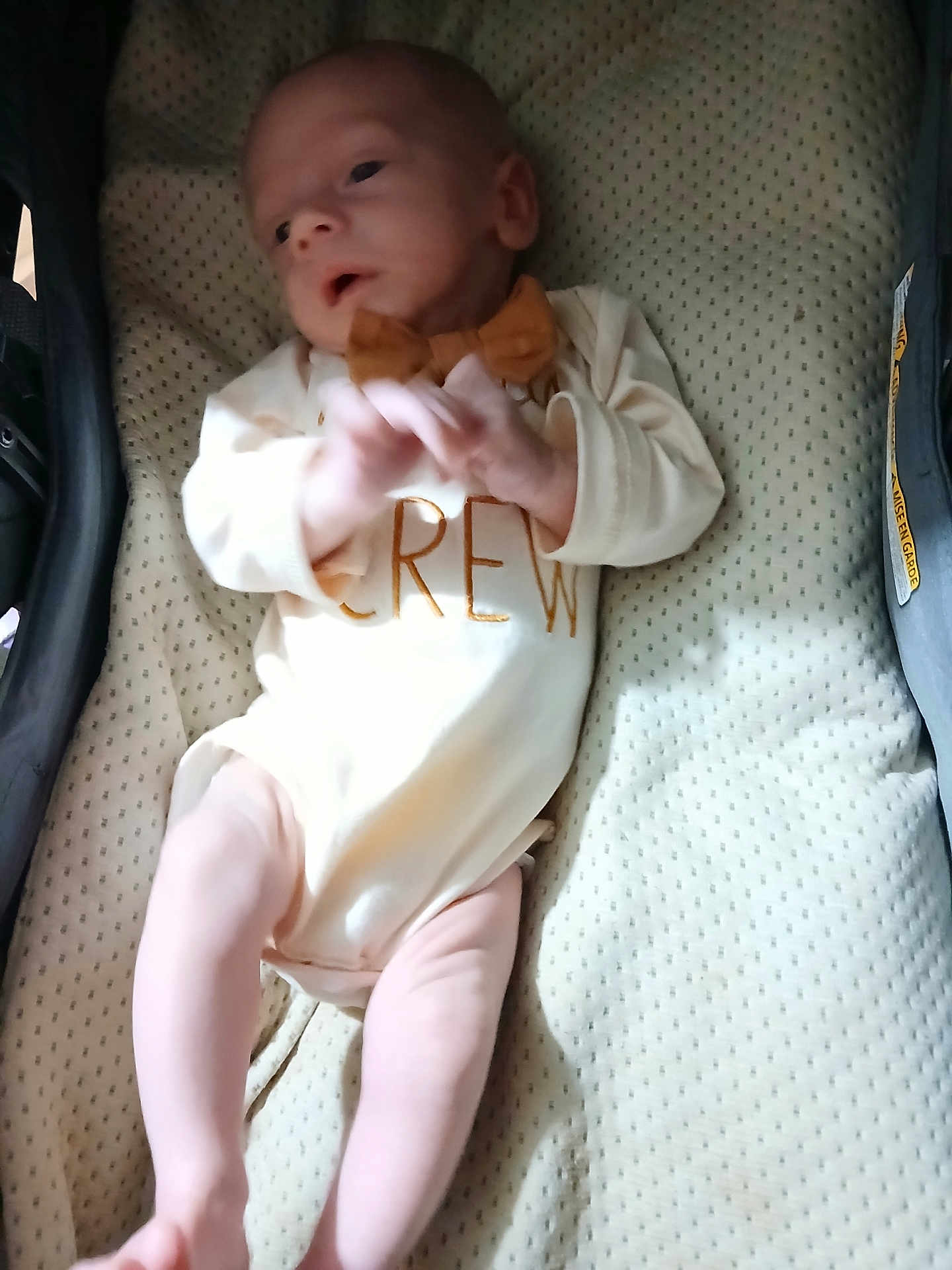 Aiden is registered to the contest to win money with this photo: baby, infant, onesie, bow_tie, baby_carrier, padded, clothing, skin, legs, hands, face, newborn, toddler, laying, indoor, soft, cute, small, child, person