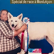 Véniziakaselupispei a rejoint le concours — aidez-le/la à gagner de superbes lots ! person, dog, white_dog, ribbon, award, celebration, plaid_shirt, pet_show, blue_background, red_platform, happy, tongue_out, pet_owner, proud, animal, pet, face, standing, indoors, event