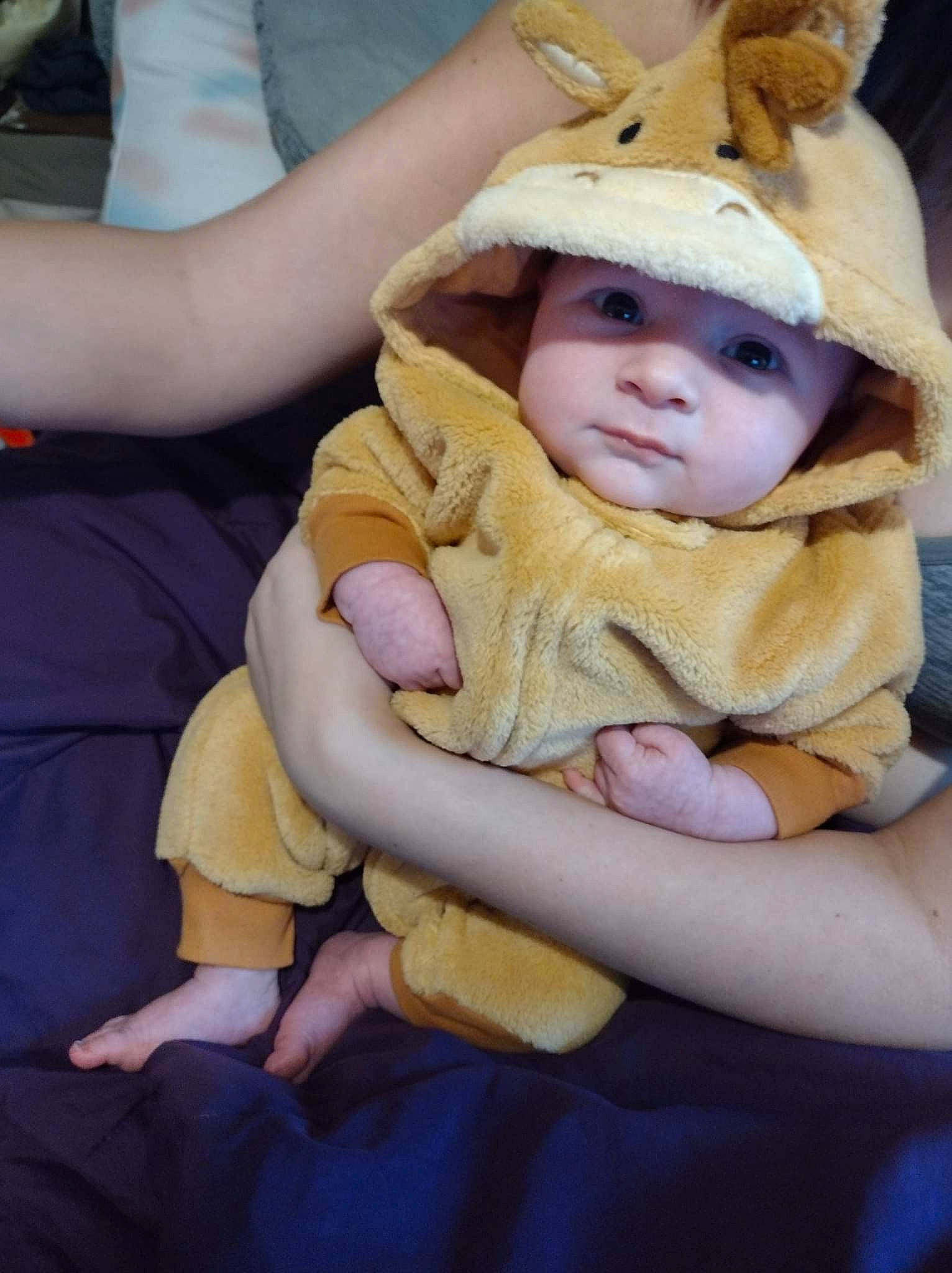 Edgar joined the competition — help win amazing prizes! baby, baby_toddler_clothing, cap, child, comfort, eye, fun, fur, gesture, grass, happy, hat, headgear, headwear, lap, mammal, person, sitting, skin, sun_hat