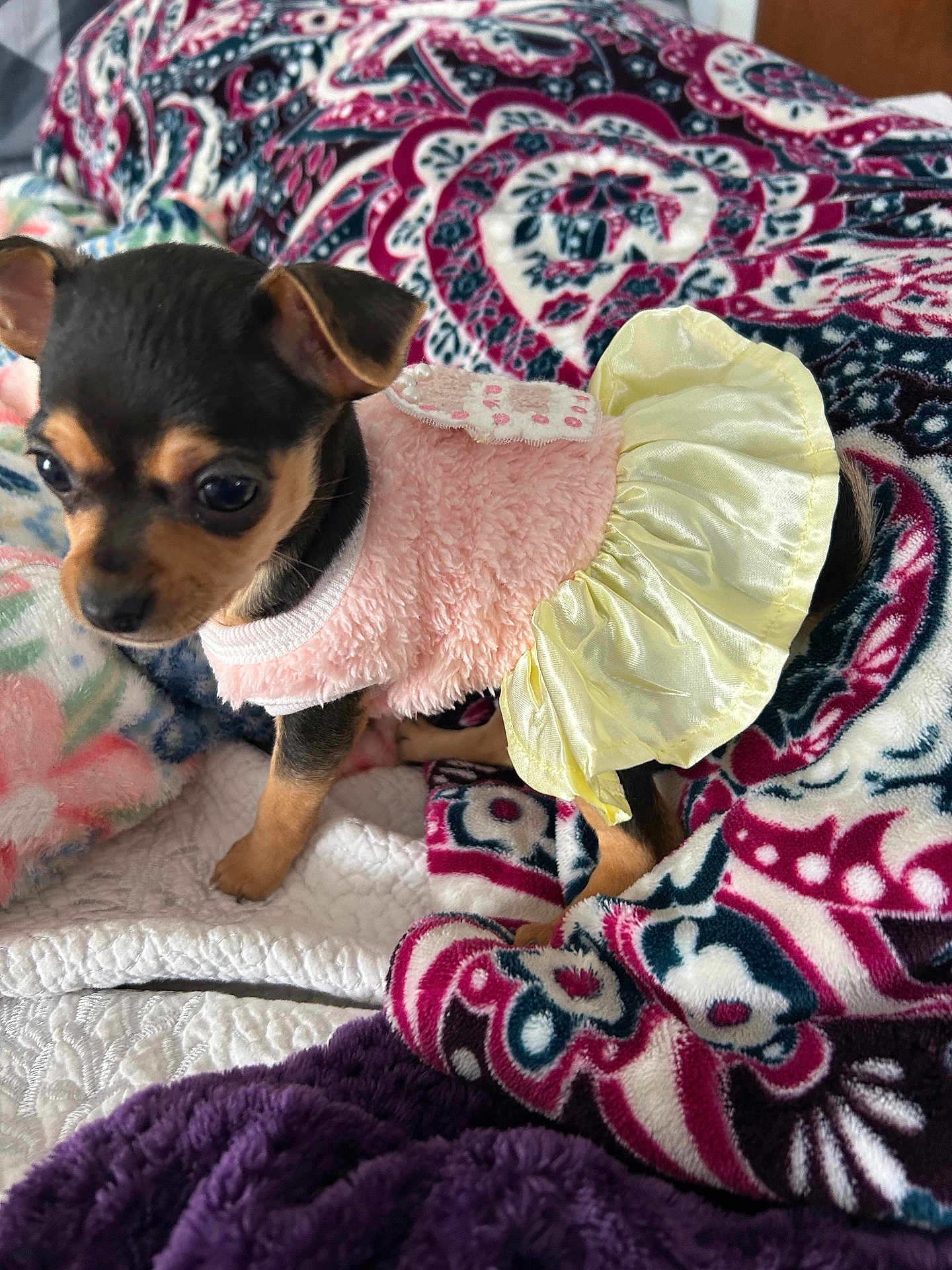 Mia