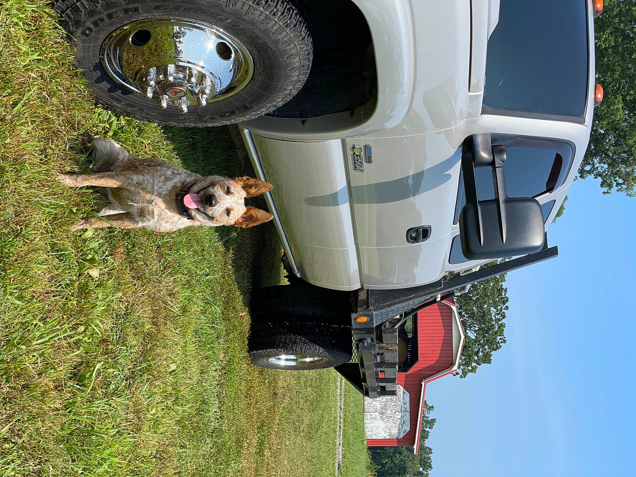 Raleigh joined the competition — help win amazing prizes! auto_part, automotive_exterior, automotive_lighting, automotive_mirror, automotive_parking_light, automotive_side_marker_light, automotive_tail_brake_light, automotive_tire, car, dog, fender, grass, land_vehicle, motor_vehicle, sky, tire, tread, vehicle, vehicle_door, wheel