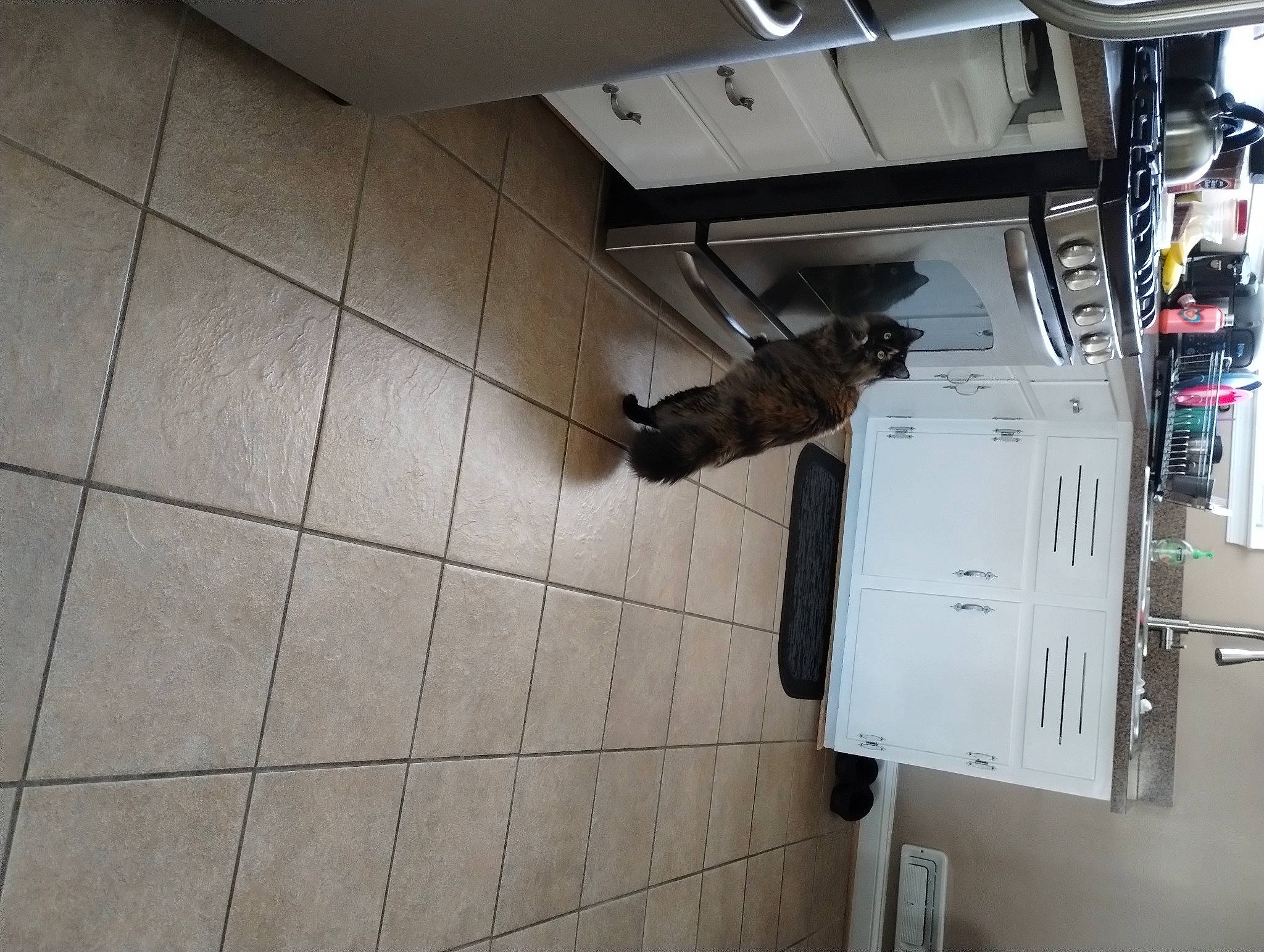 India joined the competition — help win amazing prizes! building, cabinetry, ceiling, composite_material, concrete, electrical_supply, electrical_wiring, electricity, floor, flooring, gas, hardwood, machine, metal, rectangle, room, tile, tile_flooring, wood