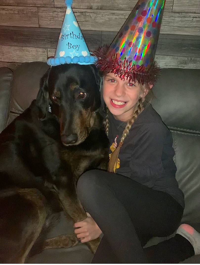 Chase joined the competition — help win amazing prizes! blue, carnivore, companion_dog, cone, costume_hat, dog, dog_breed, event, fashion_accessory, fun, fur, happy, hat, holiday, party_hat, party_supply, purple, smile, witch_hat, working_animal
