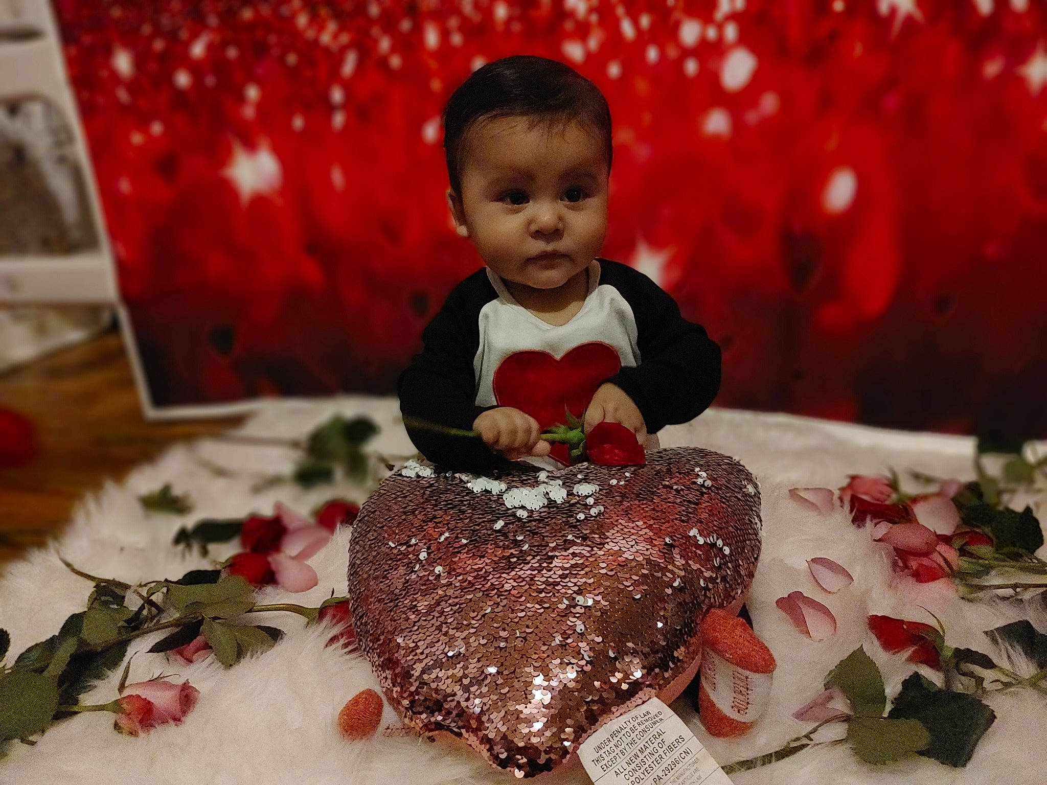 Christopher Jr. is registered to the contest to win money with this photo: baking, birthday, cake, cake_decorating, carmine, christmas, cuisine, dessert, dish, event, flower, happy, icing, person, petal, red, sitting, sugar_cake, sweetness, tablecloth